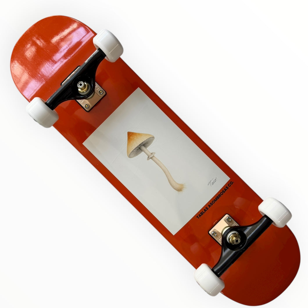 Patineta TACO pro (llave + envio gratis)