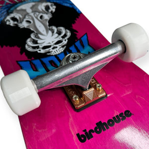 Patineta BIRD HOUSE Tony hank OLDSCHOOL (llave + envio gratis)